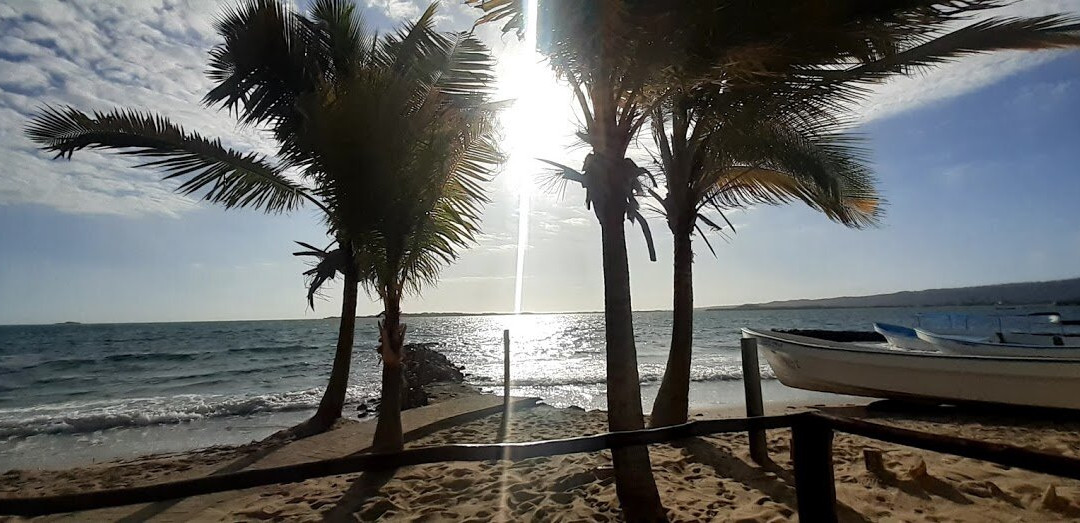 Refugio de Cuare Posada - Restaurant主图