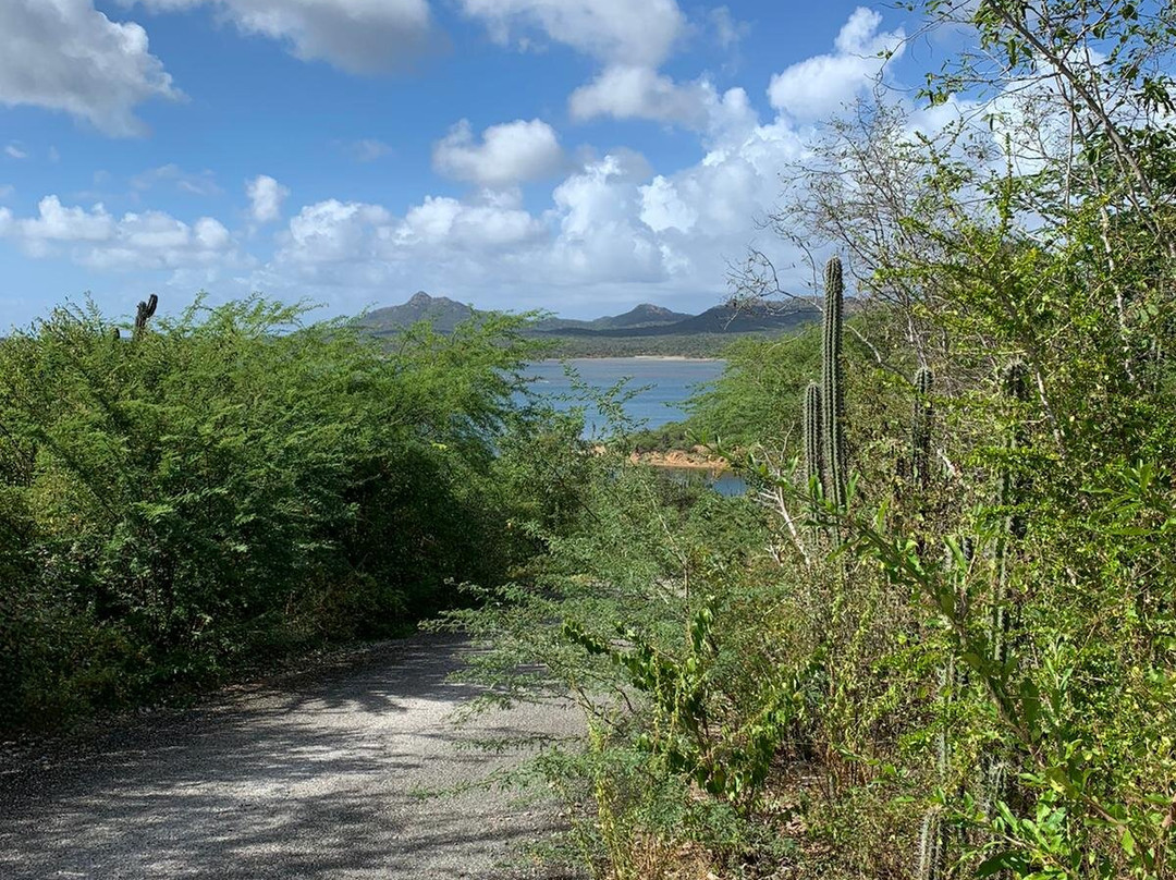 Scooters Bonaire-Kralendijk必去景点