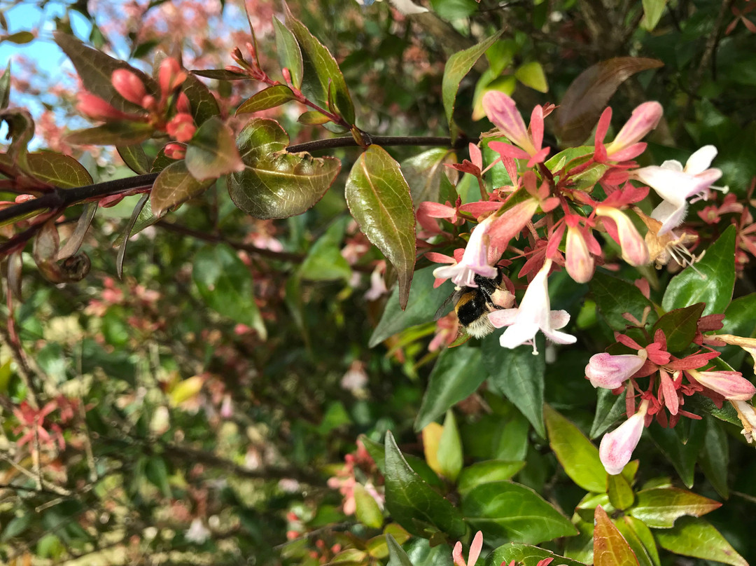Lions Park Lookout-德洛兰恩必去景点