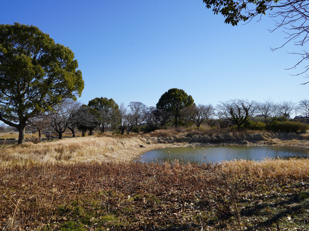 Gunma Suigo Park景点图片