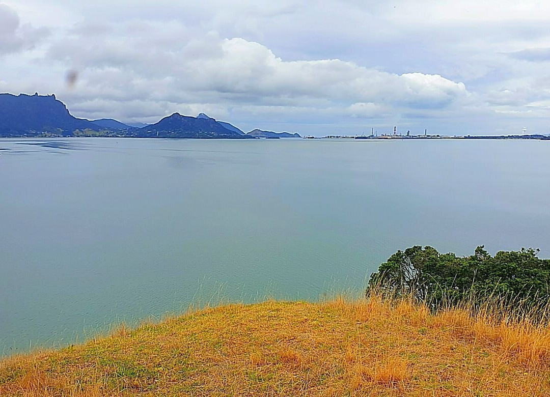 Motukiore Island-Whangarei Heads必去景点