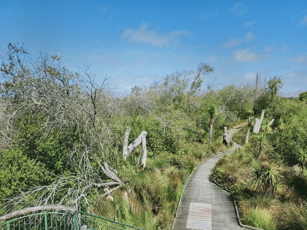Travis Wetland-基督城必去景点