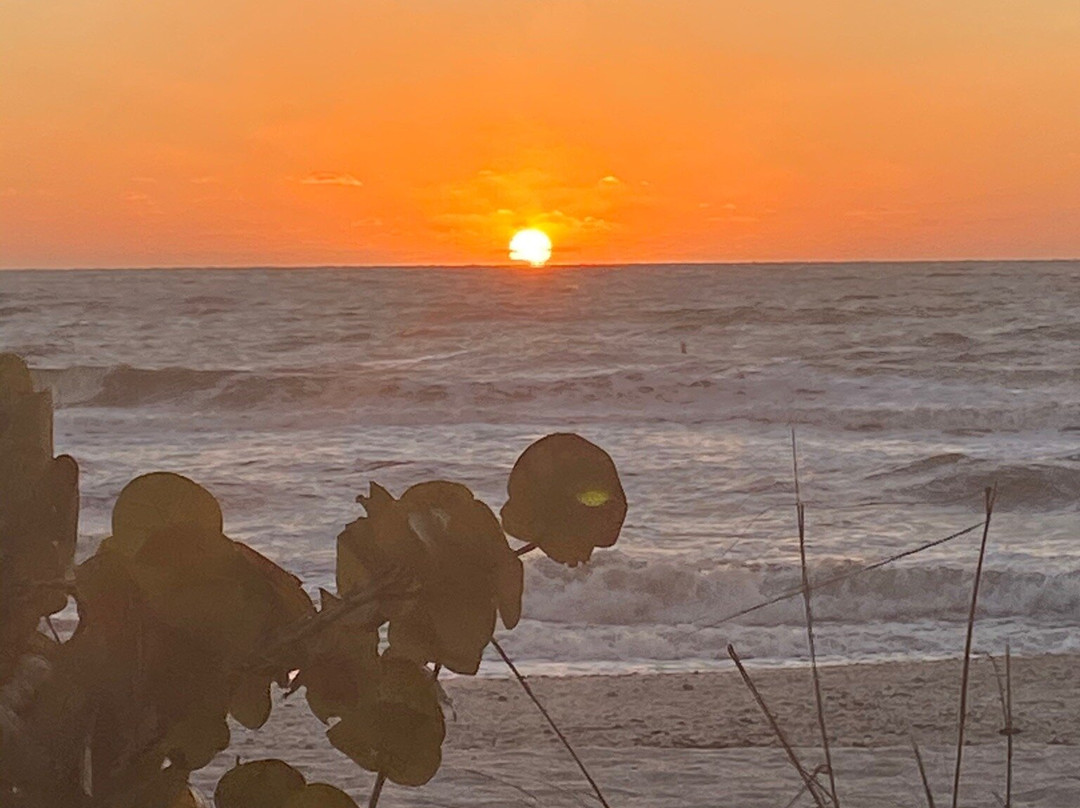 Little Hickory Beach Park-博尼塔斯普林斯必去景点