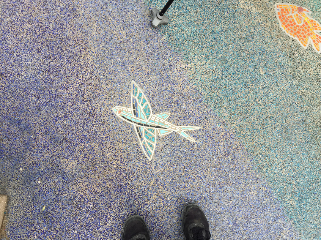 Veterans Memorial Park-德纳角必去景点