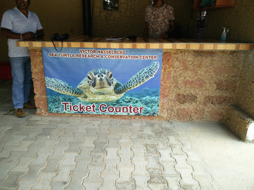 Victor Hasselblad Sea Turtle Research & Conservation Center景点图片