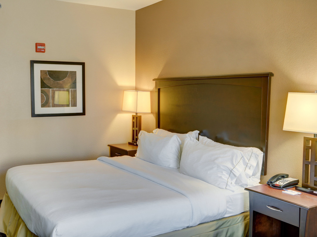 Holiday Inn Express & Suites Texarkana East by IHG主图