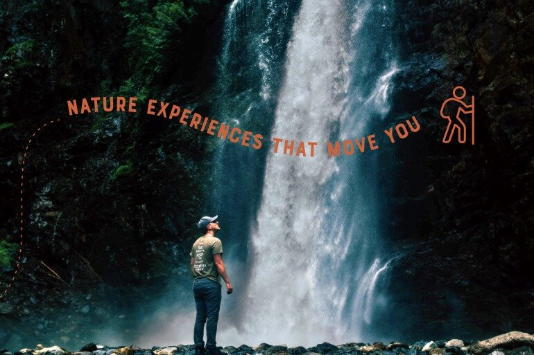 Social Nature Movement (SNM)