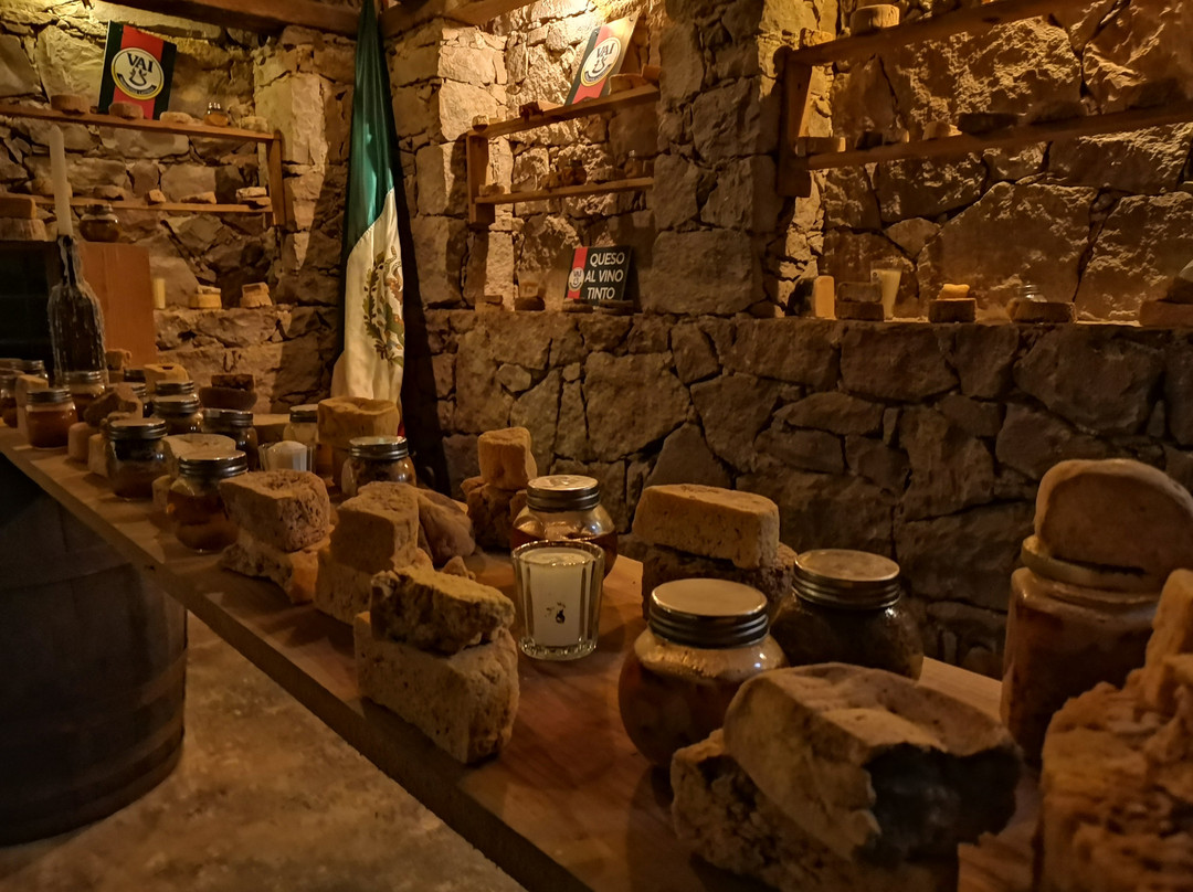 Excellence Mexico Tours-墨西哥城必去景点