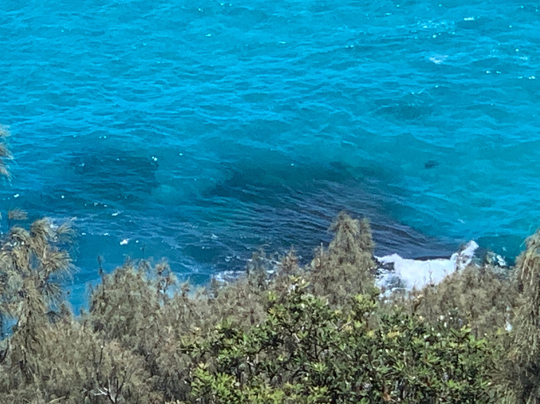 Cape Moreton Lighthouse景点图片