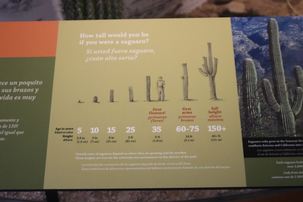 萨格鲁国家公园-图森必去景点