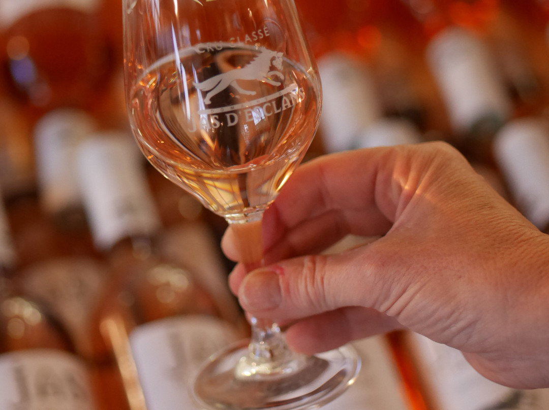 Domaine Du Jas d'Esclans景点图片
