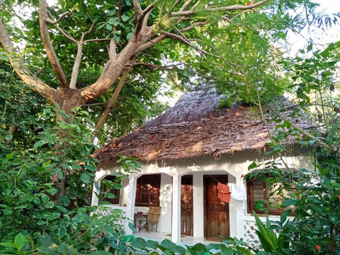 Ndame Beach Lodge主图