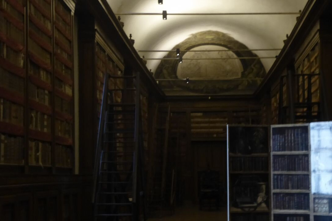 Biblioteca Palatina景点图片