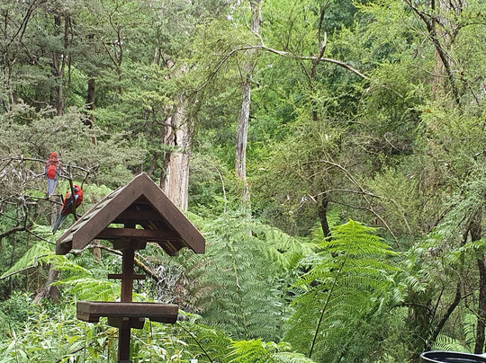 乌兰雨林休闲村主图