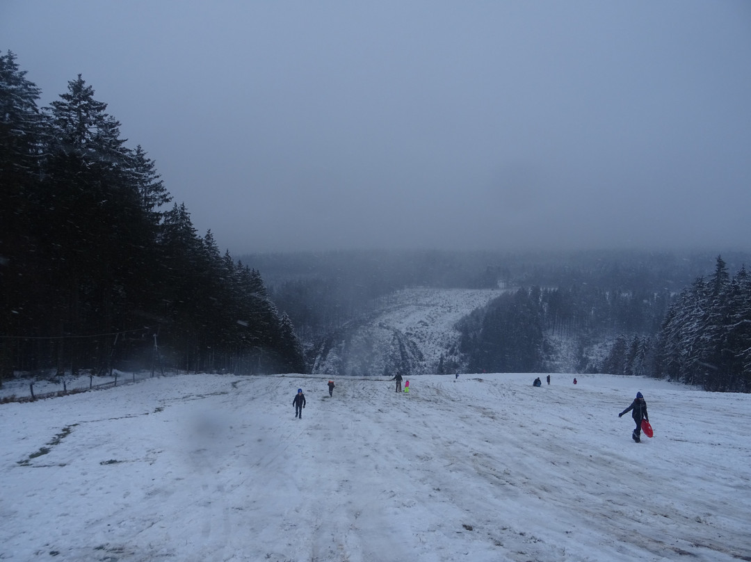 Ski alpin Ovifat景点图片