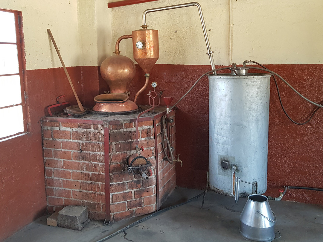 Naute Kristall Cellar and Destillery-Keetmanshoop必去景点