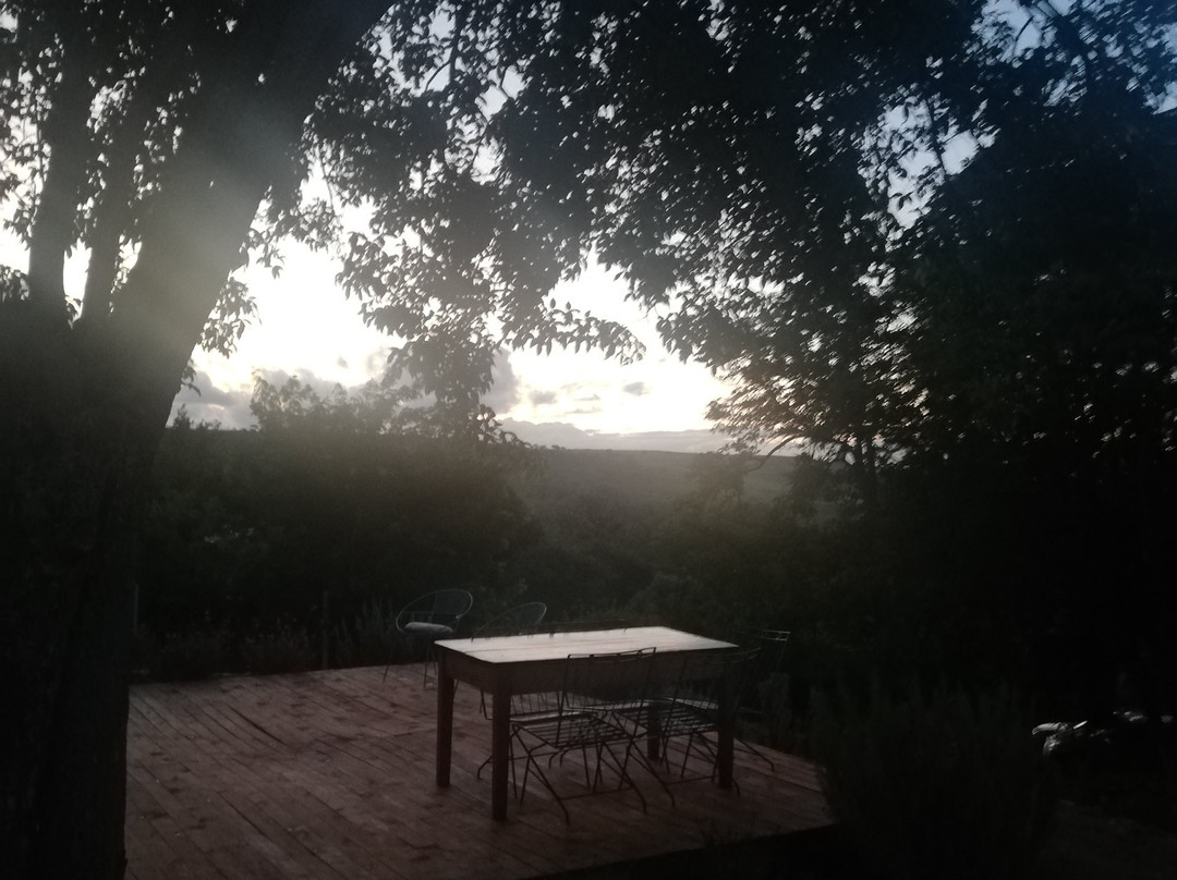 Riverbed Africa主图