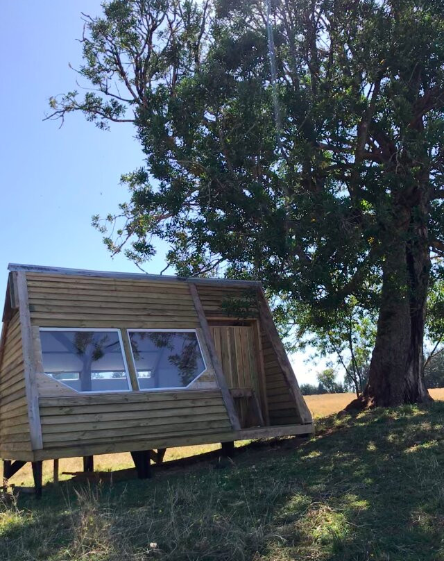 Reserva Natural El Triwe-Frutillar必去景点