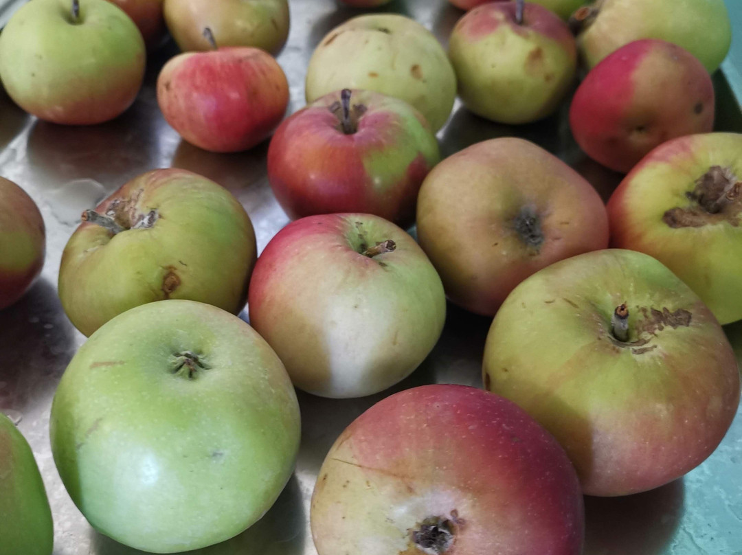 Slavyanka Hotel主图