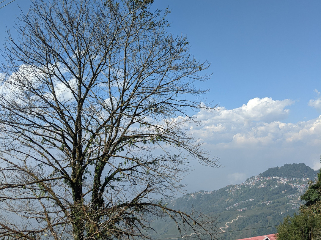 Udaan Dekeling Resort Darjeeling主图