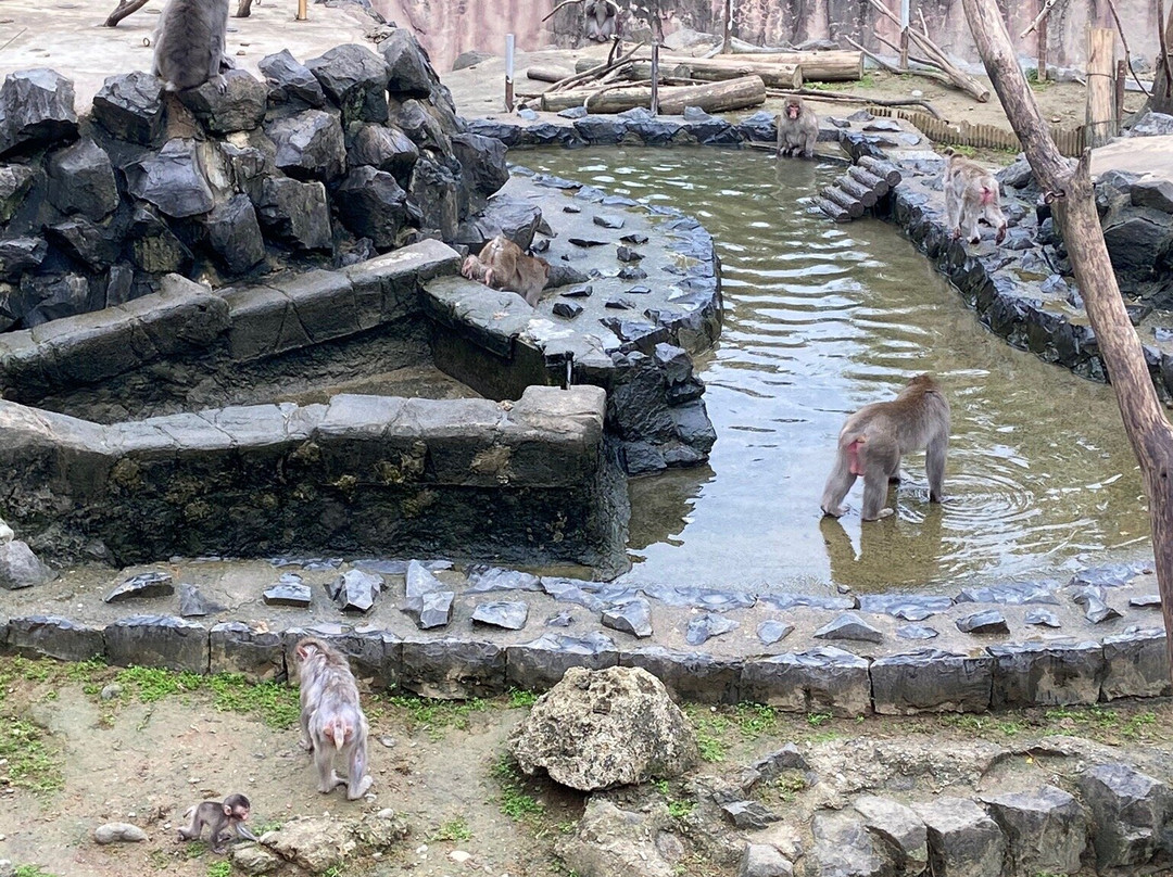 八木山动物公园-仙台市必去景点