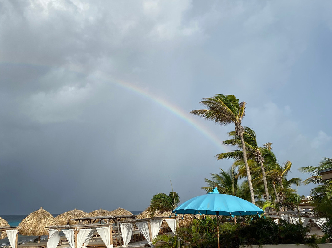 Ocean Oasis Beach Club-Kralendijk必去景点