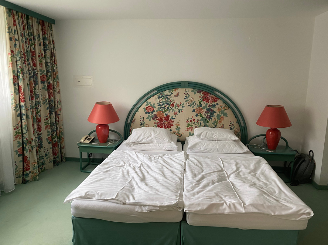Hotel Seehof Mondsee主图