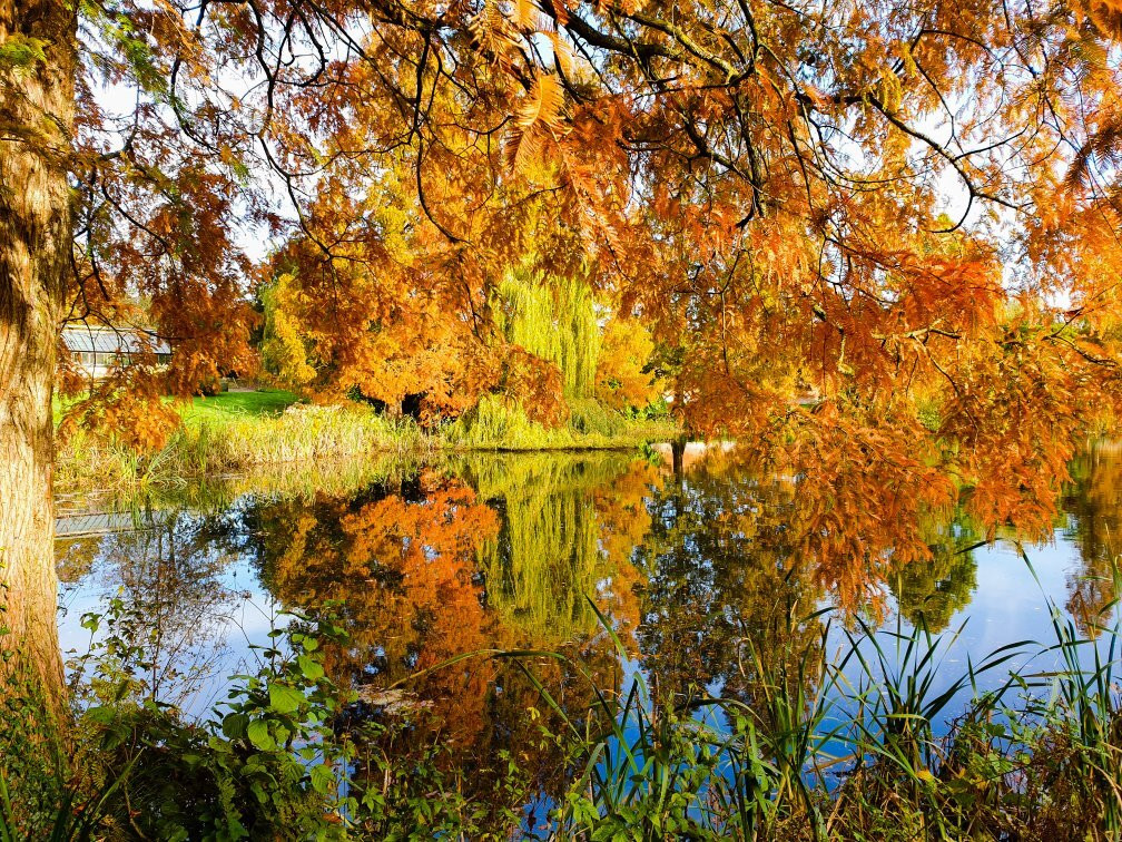Weston Park景点图片