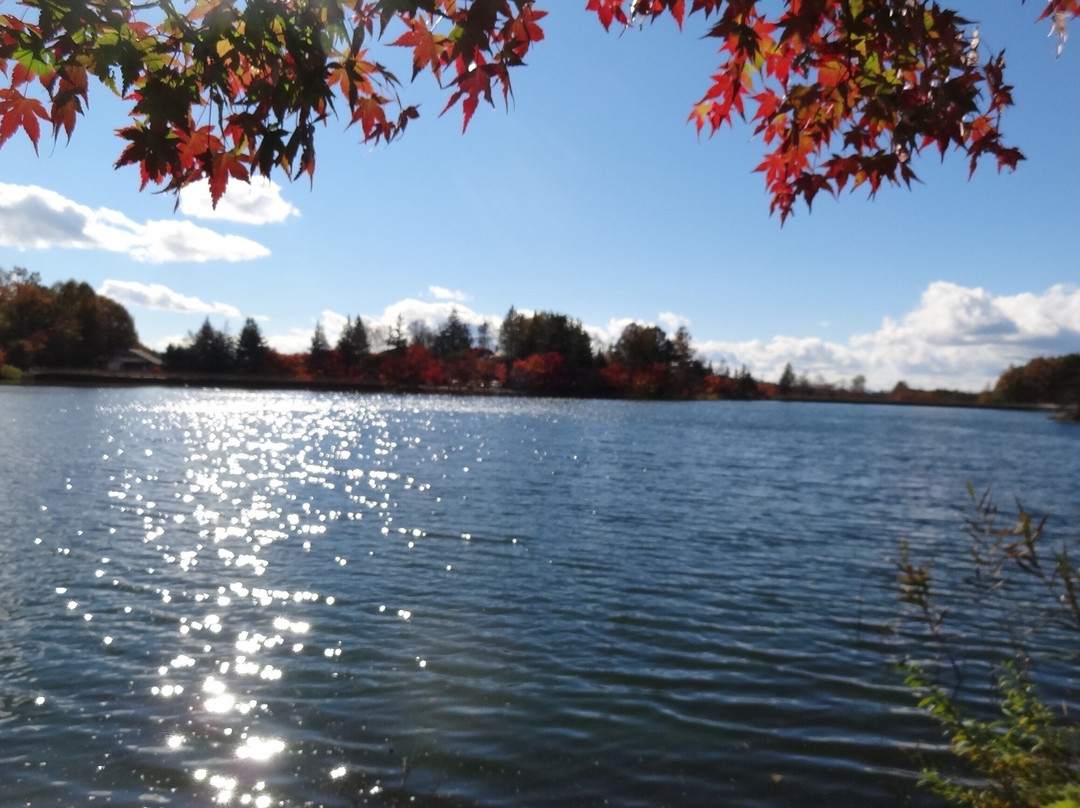 Tateshina Lake-茅野市必去景点