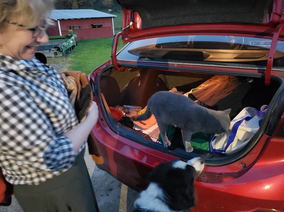 Valley Springs Farm Bed & Breakfast主图