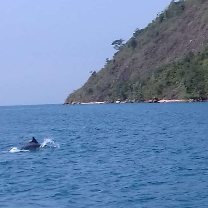 Saco do Mamangua-帕拉地必去景点