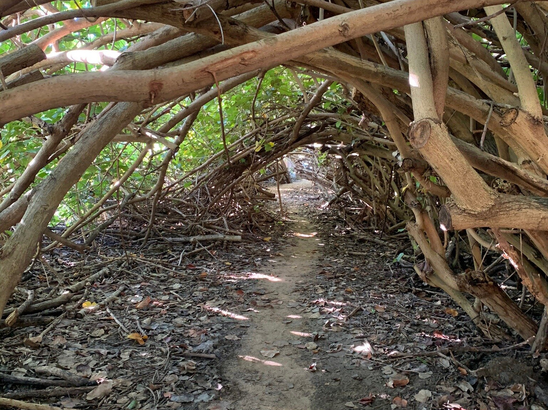 Shoy Beach-圣克鲁斯必去景点