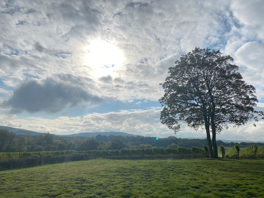 Albourne Estate景点图片