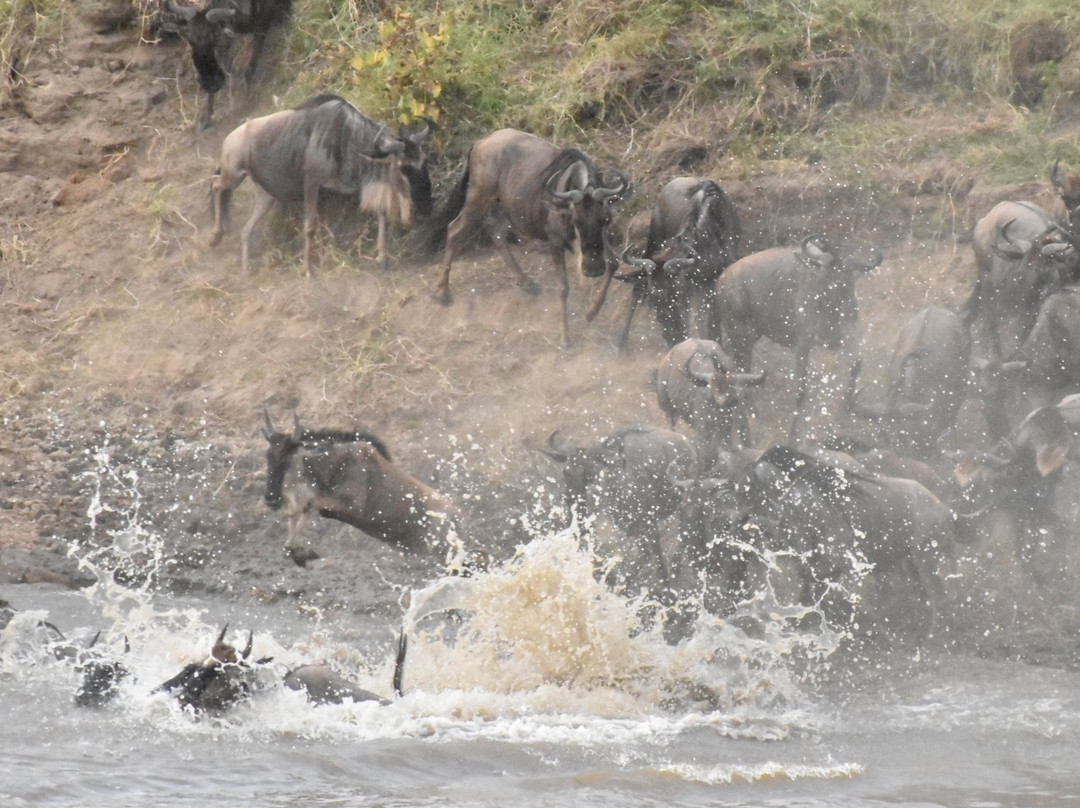 African DMC-阿鲁沙必去景点