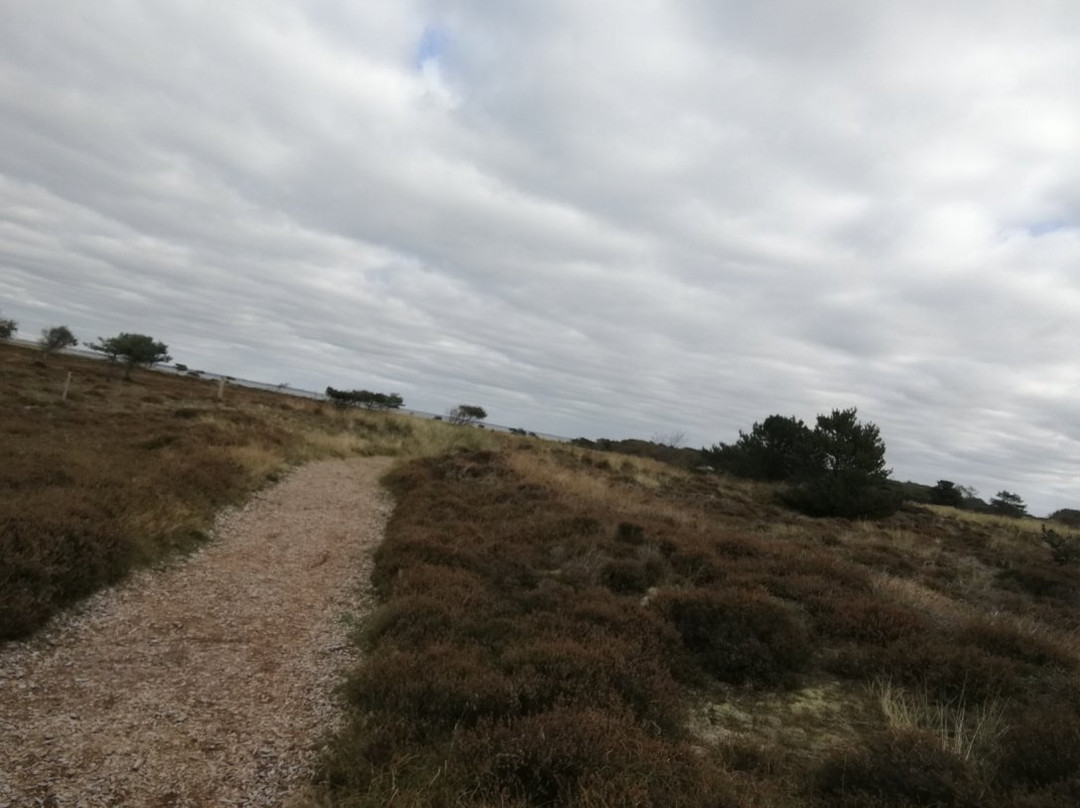 Sonderho Gl. Fuglekoje-法诺必去景点