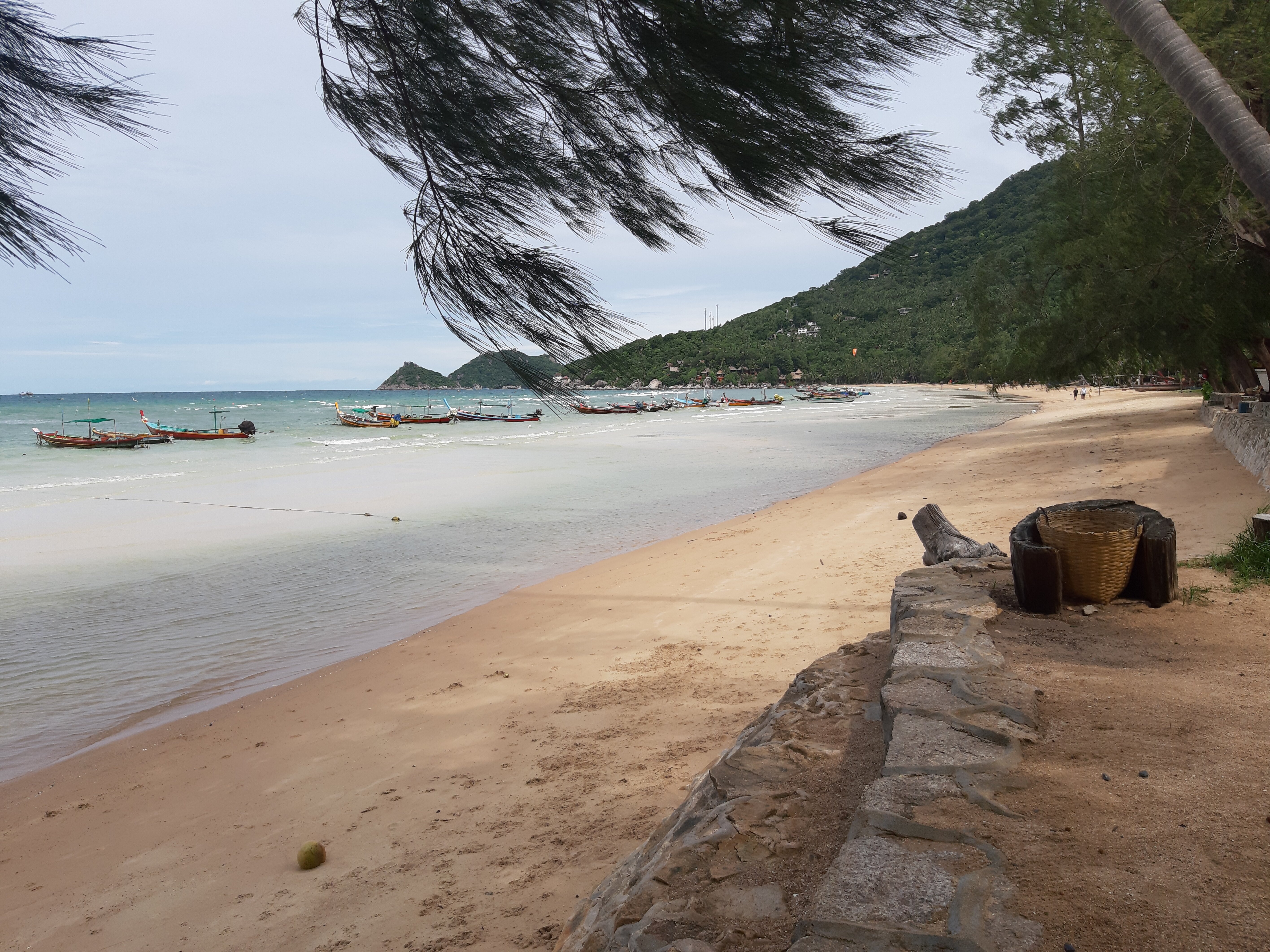 涛岛泰安度假酒店-泳池