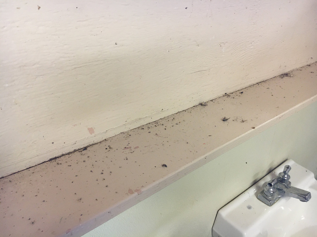 Glocester旅游攻略图片