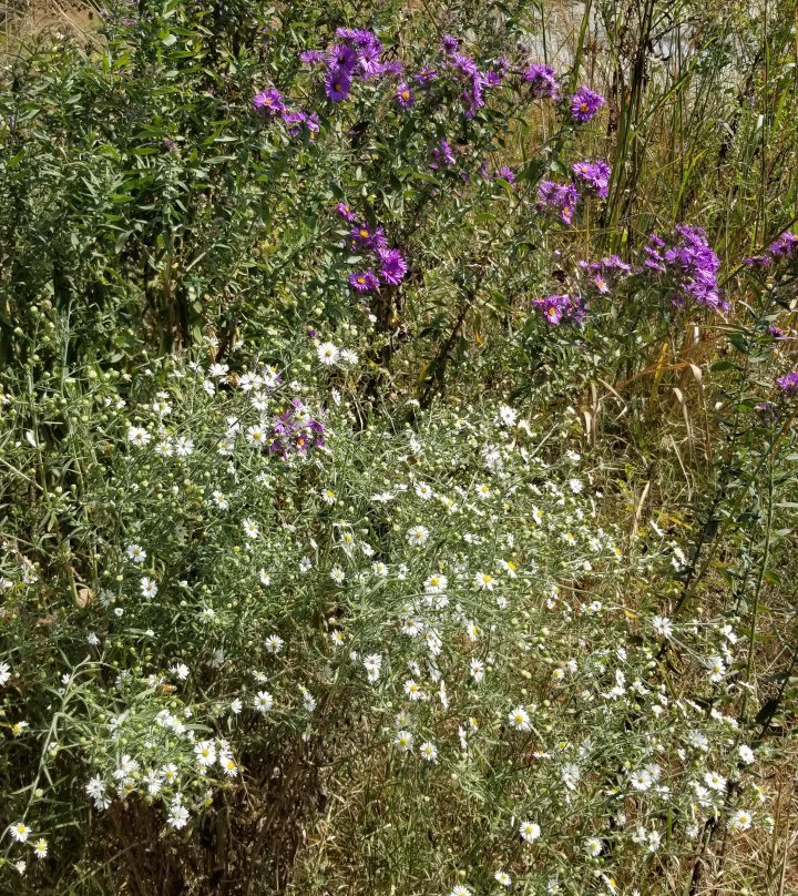 Watershed Nature Center-Edwardsville必去景点