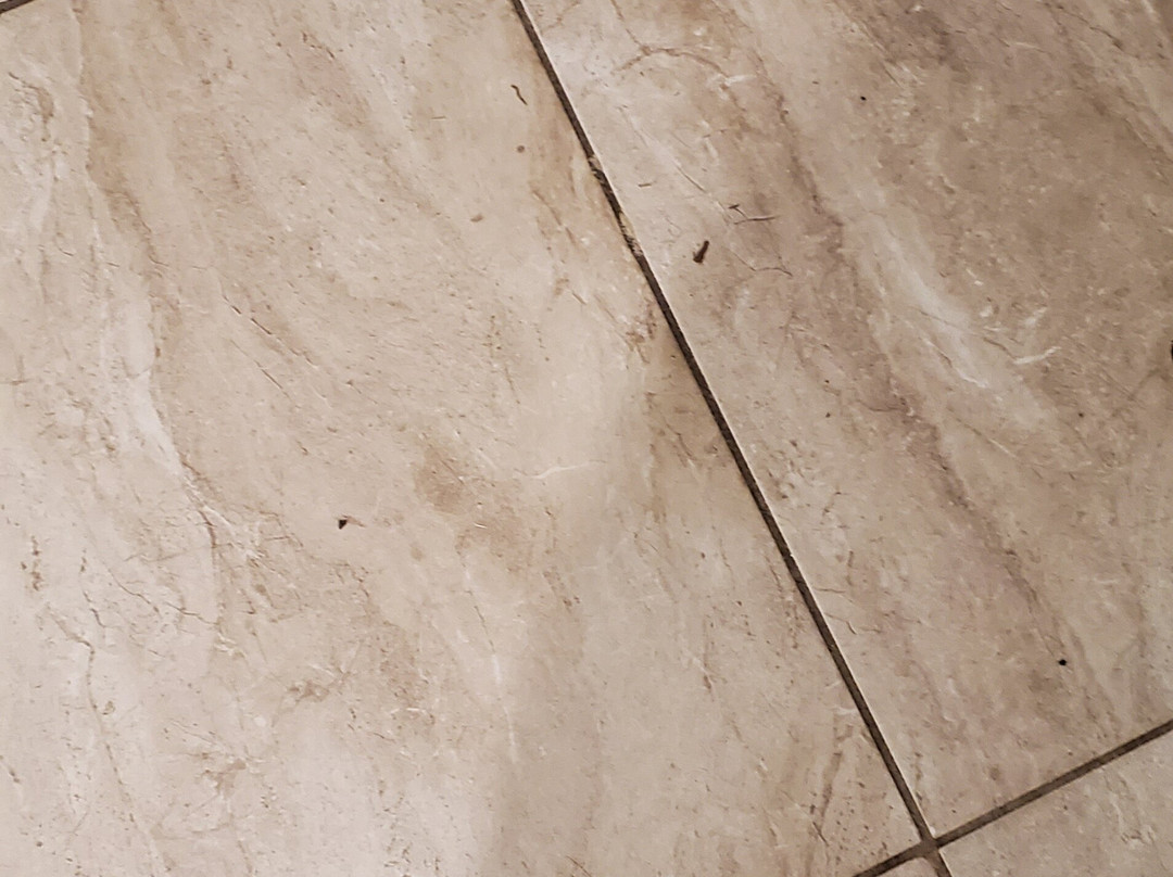 Catalina Court主图