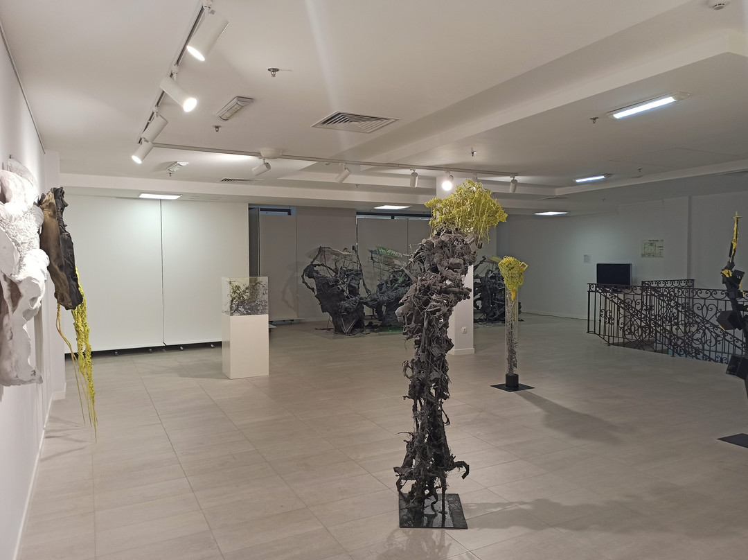 BIzon Gallery of Contemporary Art-喀山必去景点