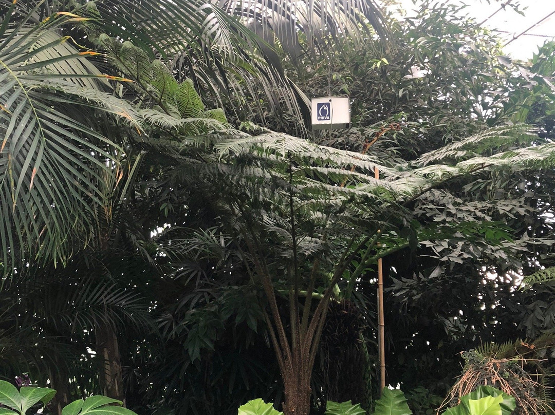 Tropical Garden Slovenia景点图片