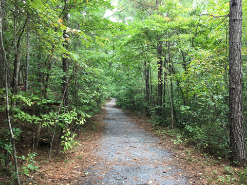 Settles Bridge Park-苏万尼必去景点
