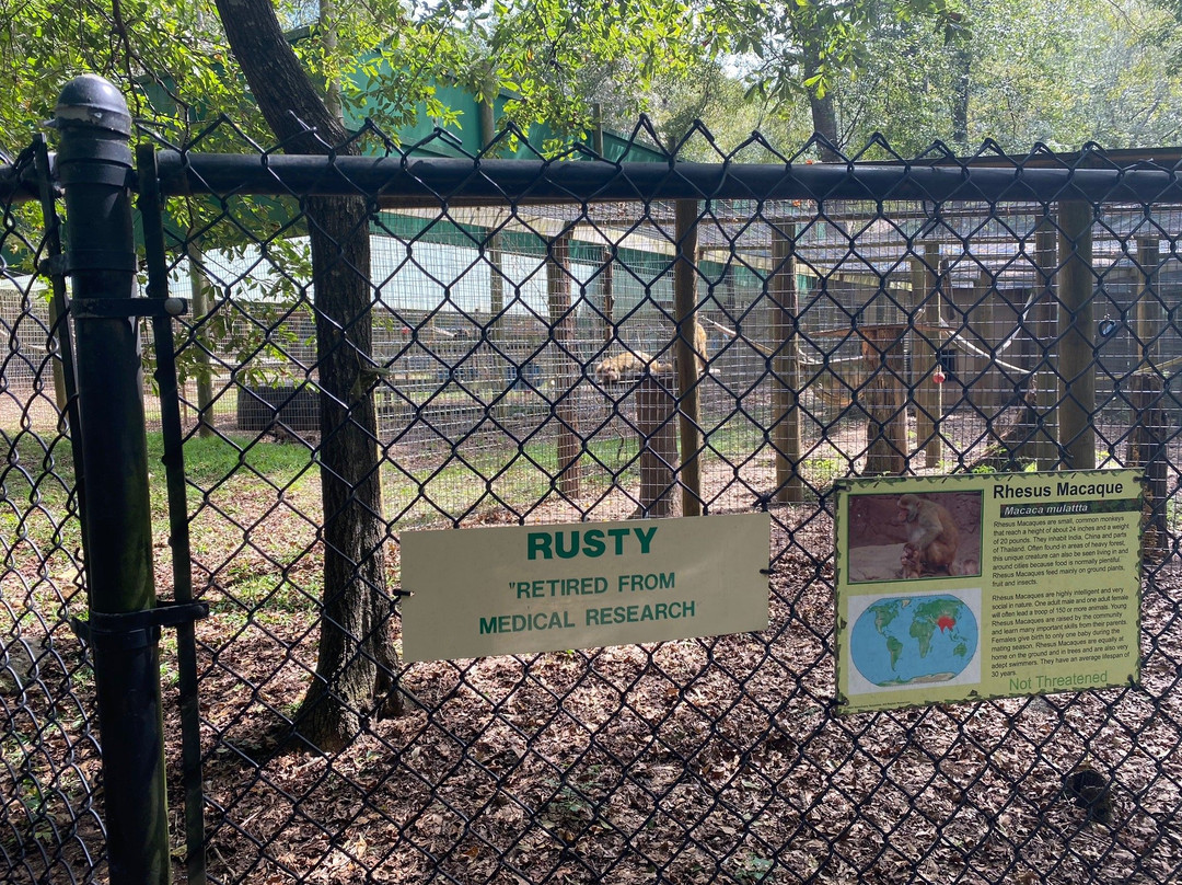 Noah's Ark Rehabilitation Center-Locust Grove必去景点
