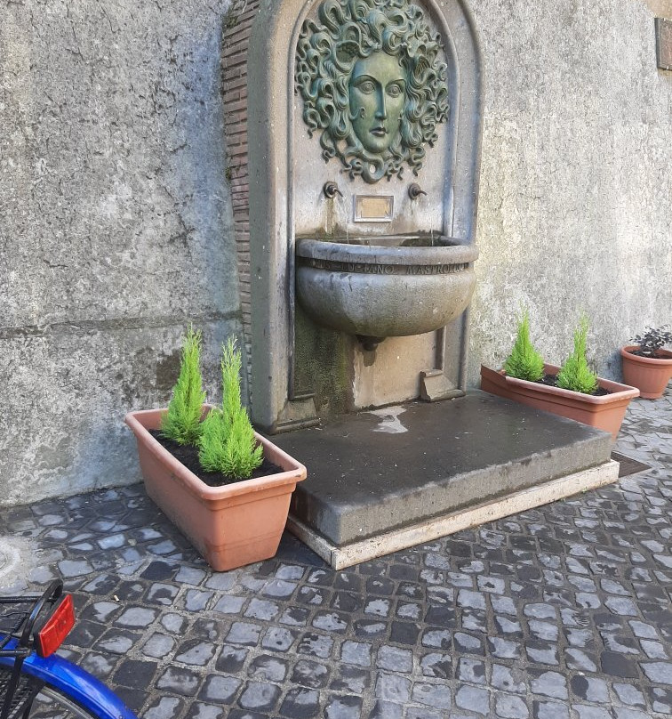 Fontana della Gorgone (Medusa)景点图片