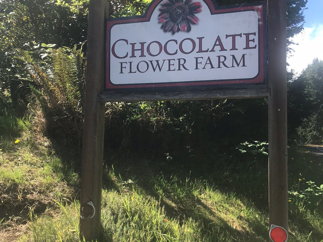 Chocolate Flower Farm景点图片