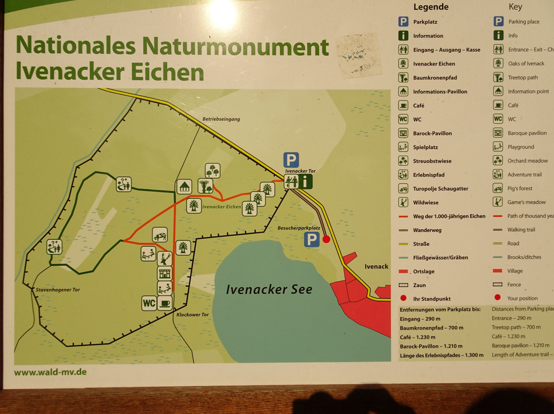 Nationales Naturmonument Ivenacker Eichen景点图片