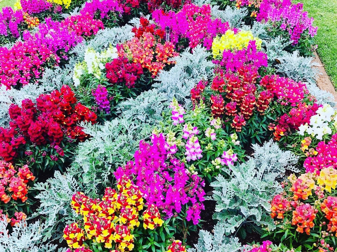 Comfort Inn Grammar View主图