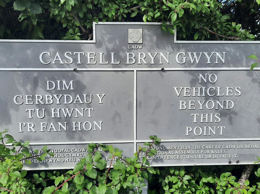 Castell Bryn Gwyn景点图片