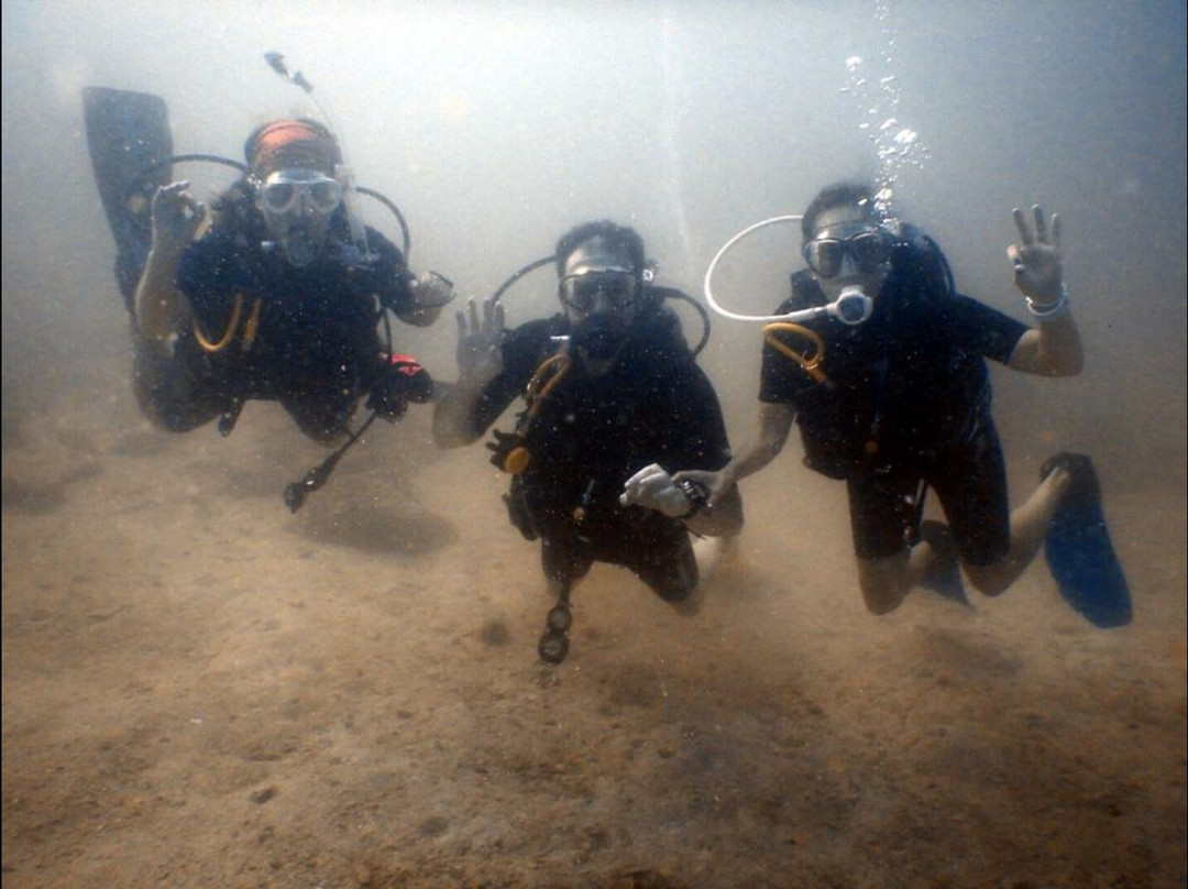 Divers Down景点图片