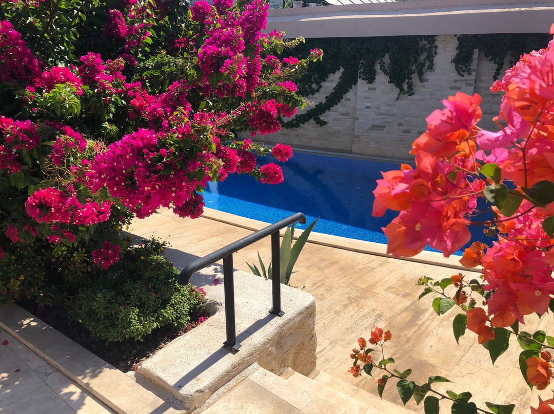 Dardanos Hotel主图